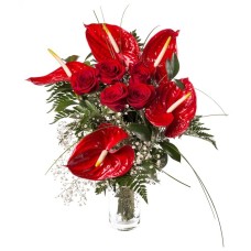 red roses and red anthurium (Standard)
