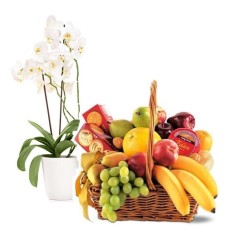 fruits and orchid (gift combo)