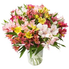 mixed alstromeria (Standard)