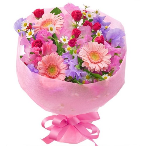Gerbera Bouquet (Pink)