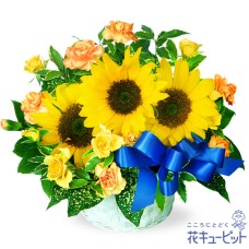 sunflower ribbon arrangement