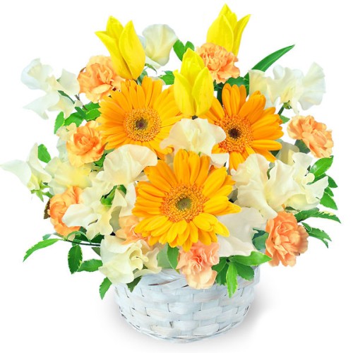 Spring Yellow Arrangement