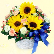 Sunflower and blue ribbon arrangement