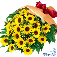Bouquet of sunflowers