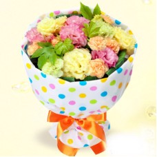 Turkey bellflower flowers Cupid bouquet (colorful dots)