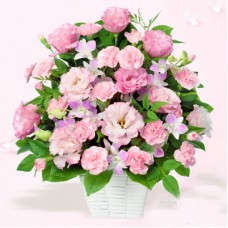 Turkey bellflower of pink arrangements