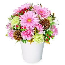 Pink gerbera winter arrangement