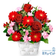 Square basket of red roses and red gerberas