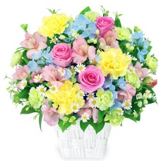 Spring Color Arrangement Of Alstroemeria