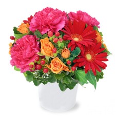 Vivid arrangement of red gerberas