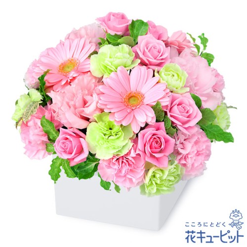 pink gerbera cube arrangement