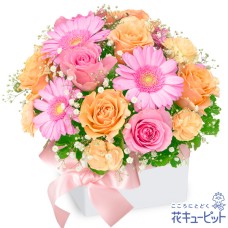 pink and orange cube arrangement