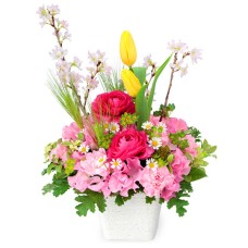 Colorful Arrangement Of Cherry Blossoms