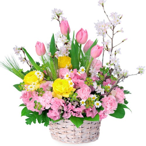 Cherry Blossom Mix Arrangement