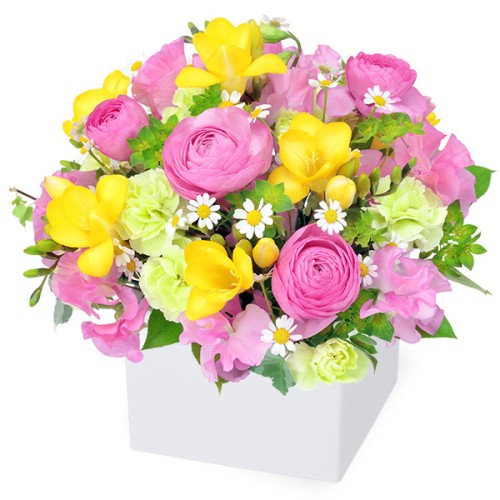 Freesia Cube Arrangement