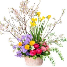 Luxurious Arrangement Of Cherry Blossoms