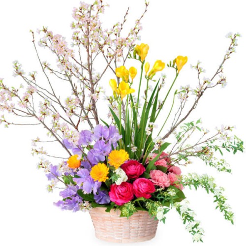 Luxurious Arrangement Of Cherry Blossoms