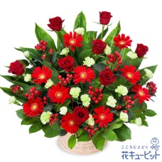 A gorgeous arrangement of red roses and red gerberas