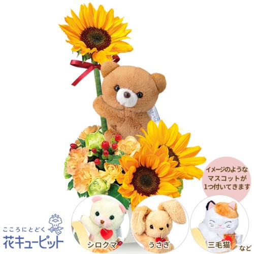 Arrangement with sunflower mascot