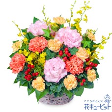 Arrangement of orange carnations