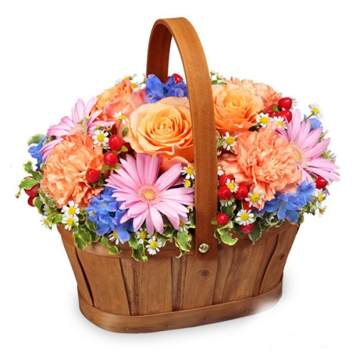 Orange And Pink & Blue Harmony Basket