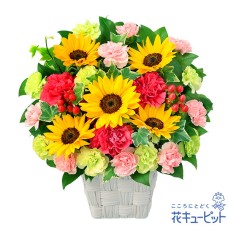 Bright arrangement of sunflowers