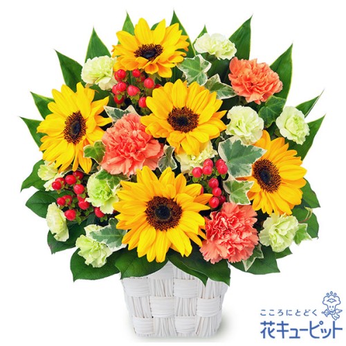 sunflower square basket
