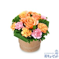 orange rose wood pot arrangement