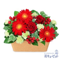 Square basket of red roses
