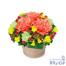 Orange carnation wood pot arrangement