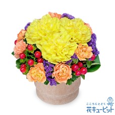 Yellow carnation wood pot arrangement