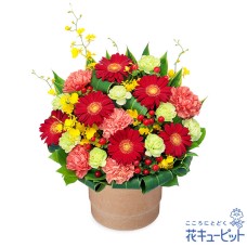 Red gerbera wood pot arrangement