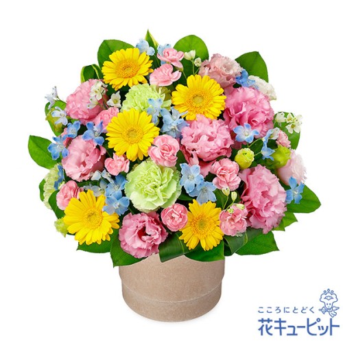 Colorful wood pot arrangement