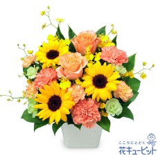 Dad Thank You Arrangement