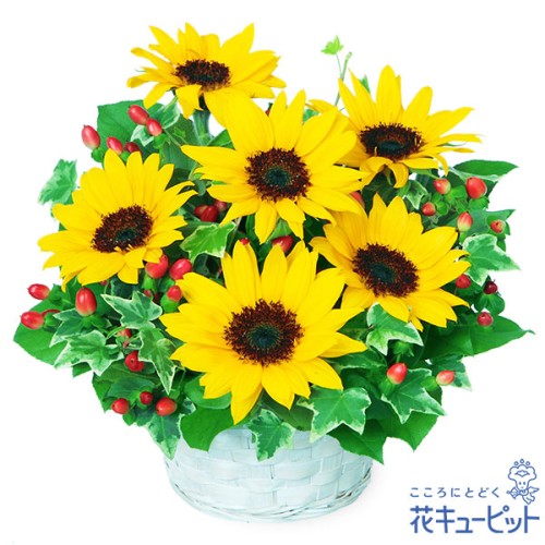 sunflower arrangement