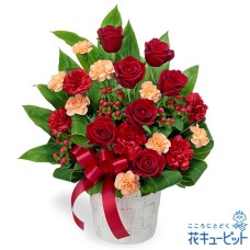 gorgeous arrangement of red roses