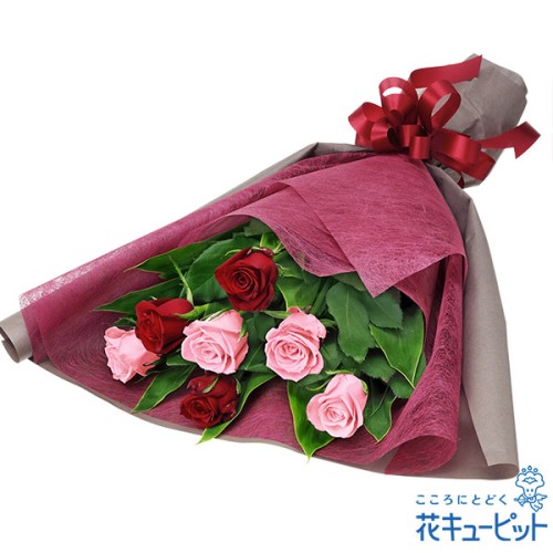 bouquet of red and pink roses