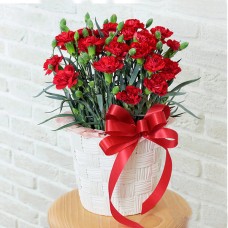 Carnation Bowl (Red)
