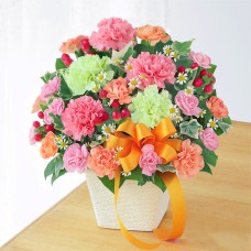Carnation Mix Arrangement