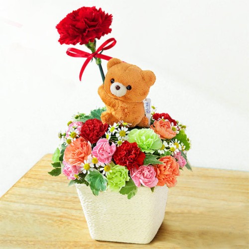 Arrangement With Bear Mascot
