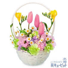 Natural basket of pink tulips