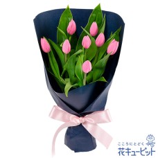 bouquet of pink tulips