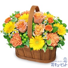 Orange Rose Harmony Basket