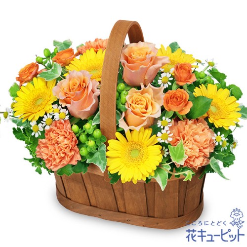 Orange Rose Harmony Basket