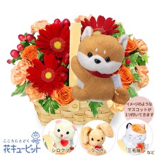Wooden basket with gerbera mascot