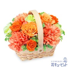 Orange roses in a wooden basket