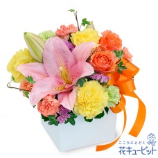 Lily and orange cube arrangement