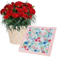 Red Carnation Bowl And [Failor] Mul Mule Handkerchief