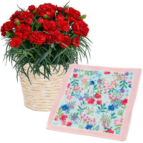 Red Carnation Bowl And [Failor] Mul Mule Handkerchief