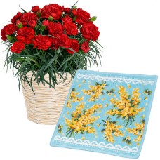 Red Carnation Bowl And [Failor] Mimosa Solare Handkerchief